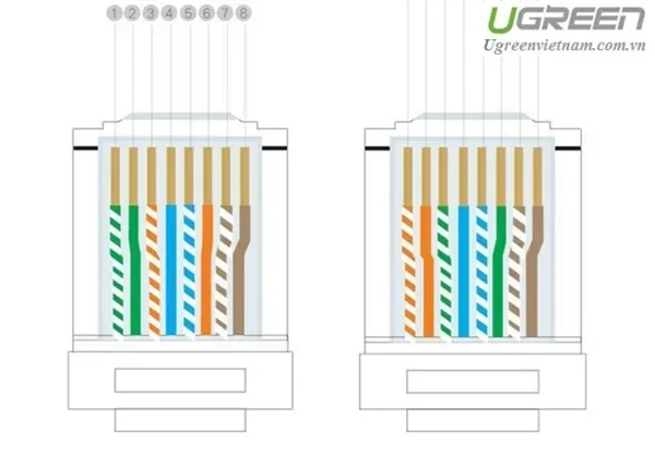 Conector RJ45 Cat 6A metálicos 100Pcs – Ugreen